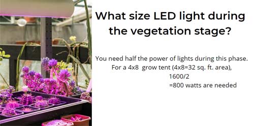 Light size during the vegetation stage