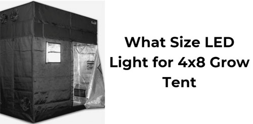 What size LED light for 4x8 grow tent