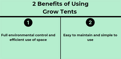 Why should you consider using grow tents