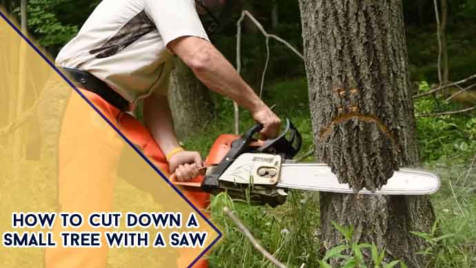 How to Cut Down a Small Tree with a Saw : 10 Steps [DIY]