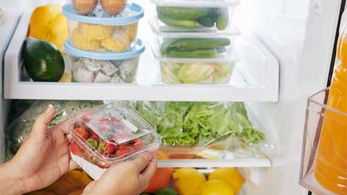 Things to Know About Refrigerator for Vegetarian