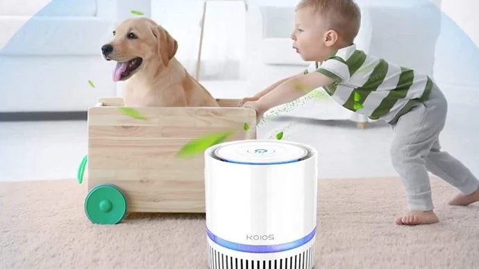 Air Purifier for Allergies and Asthma