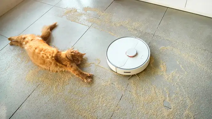 Robot Vacuums for Cat Hair