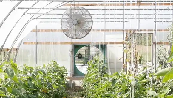 Why is it Necessary to Ventilate Greenhouses During the Winter