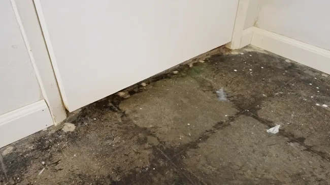 Is it a good idea to seal old concrete